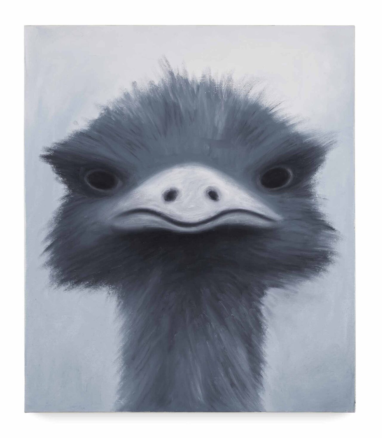 emu