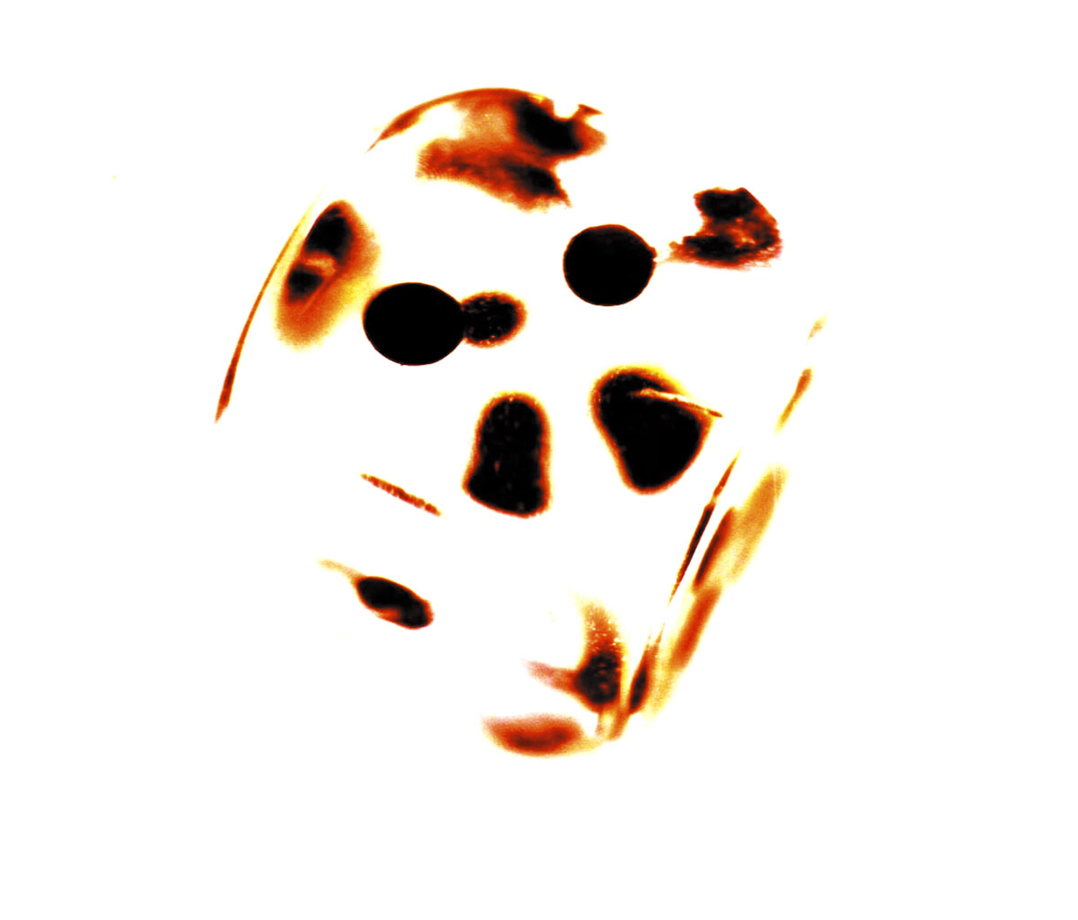 dice