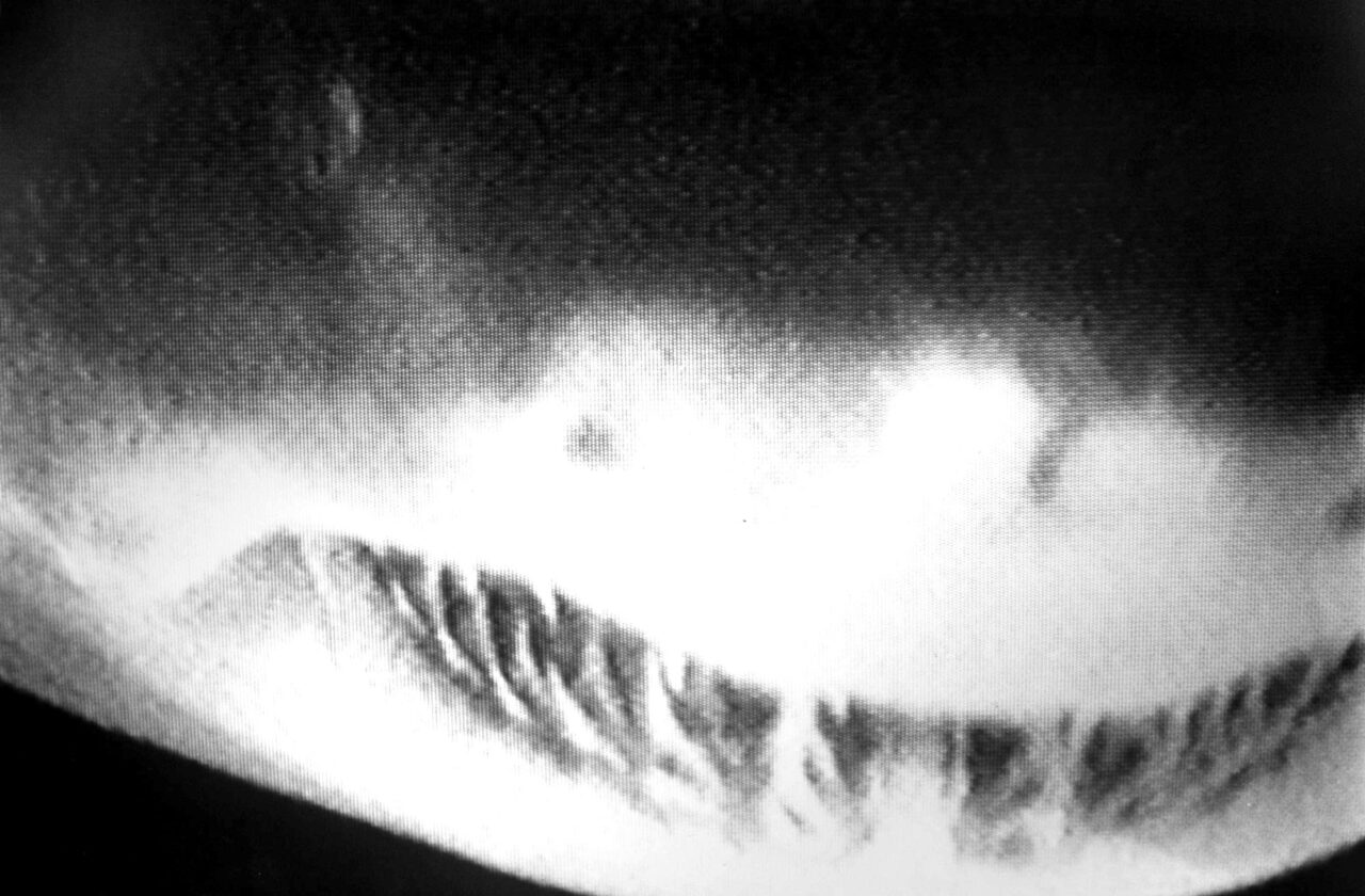 picture diary 24