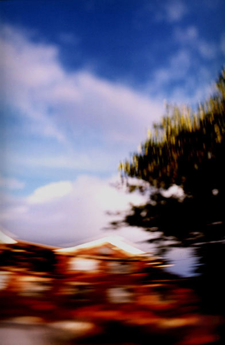 picture diary 27
