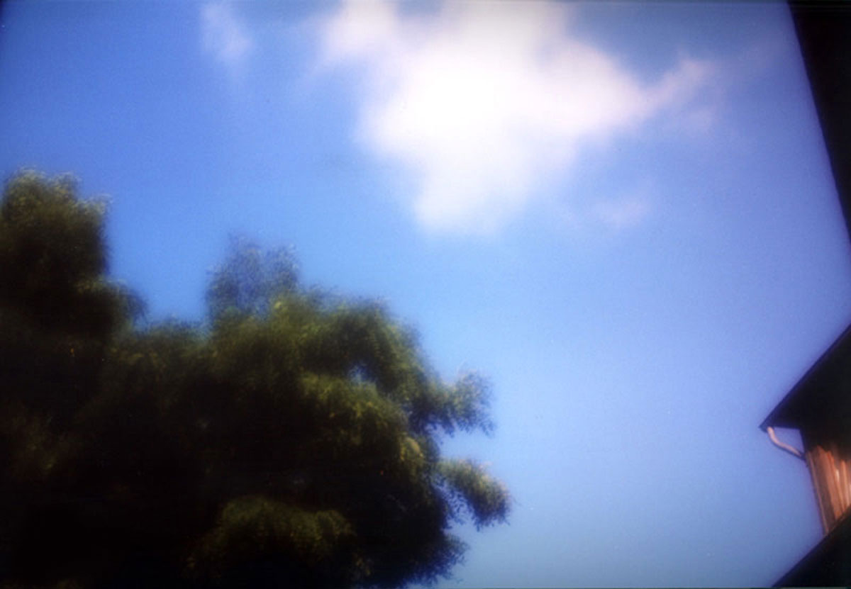 picture diary 30